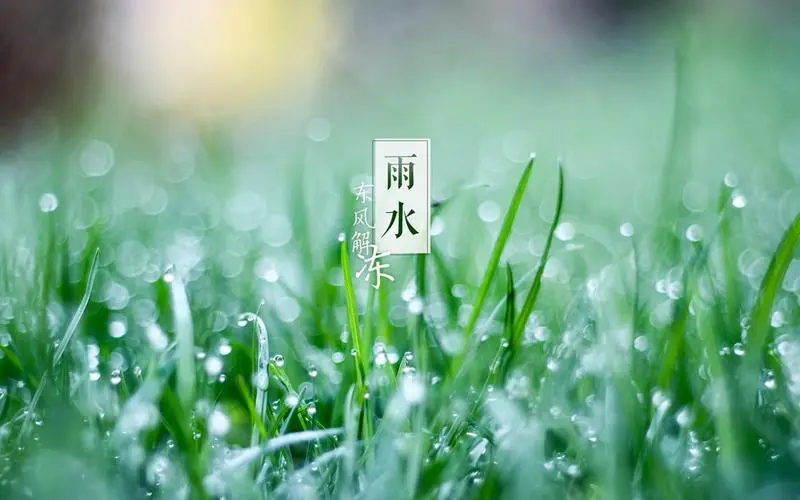 雨水生寒濕，健脾養胃有(yǒu)妙招