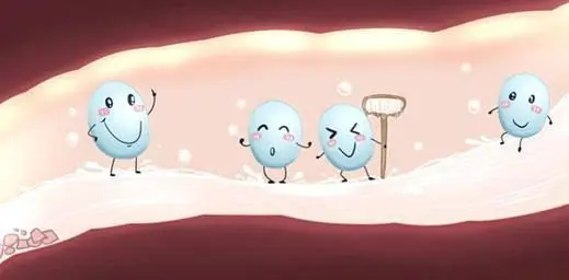 活性益生菌，人類的盟友軍