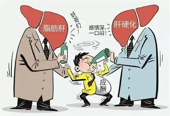 瘦子也會的脂肪肝，平時這幾點要注意好