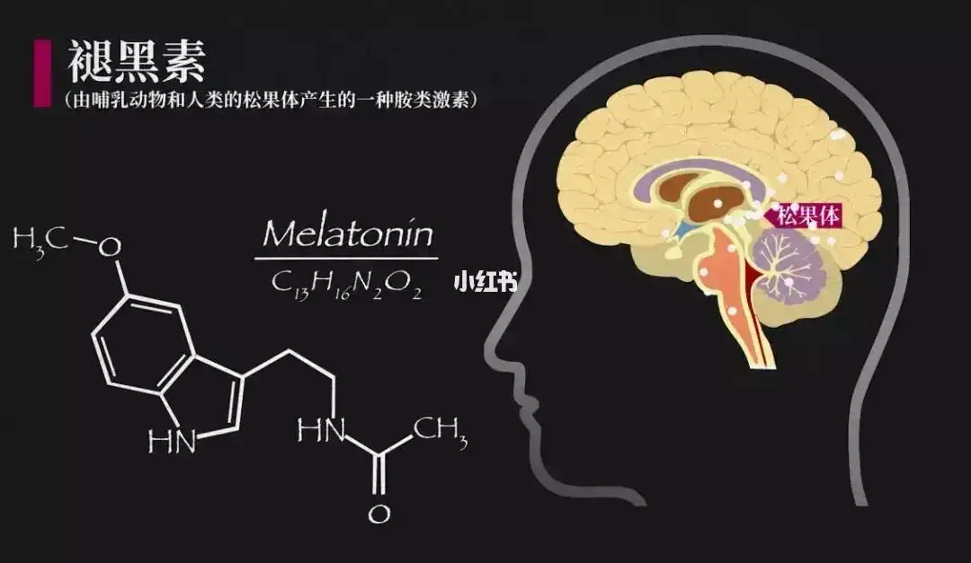 “睡眠幫手”褪黑素，究竟是何物(wù)？